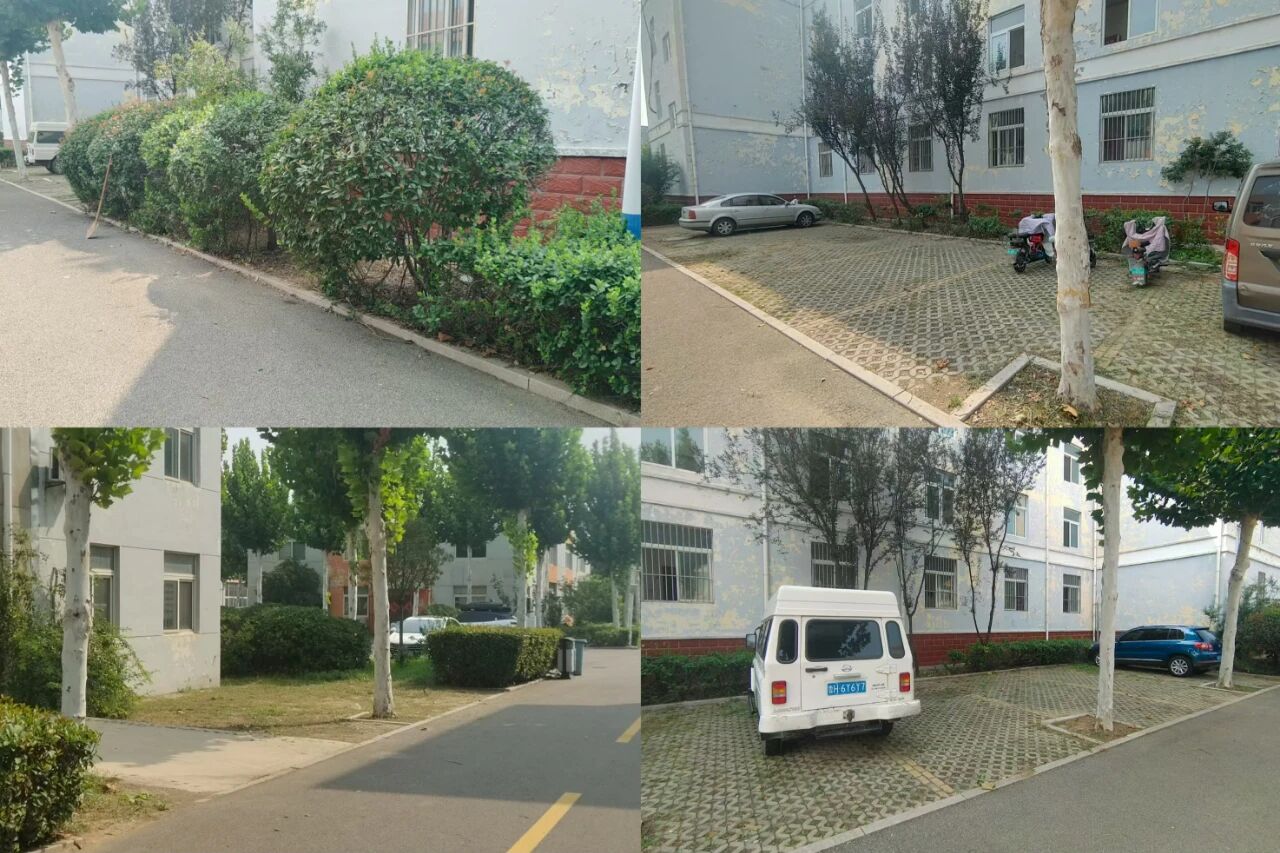 【魯南電商】共建美麗園區(qū)，我們在行動！1