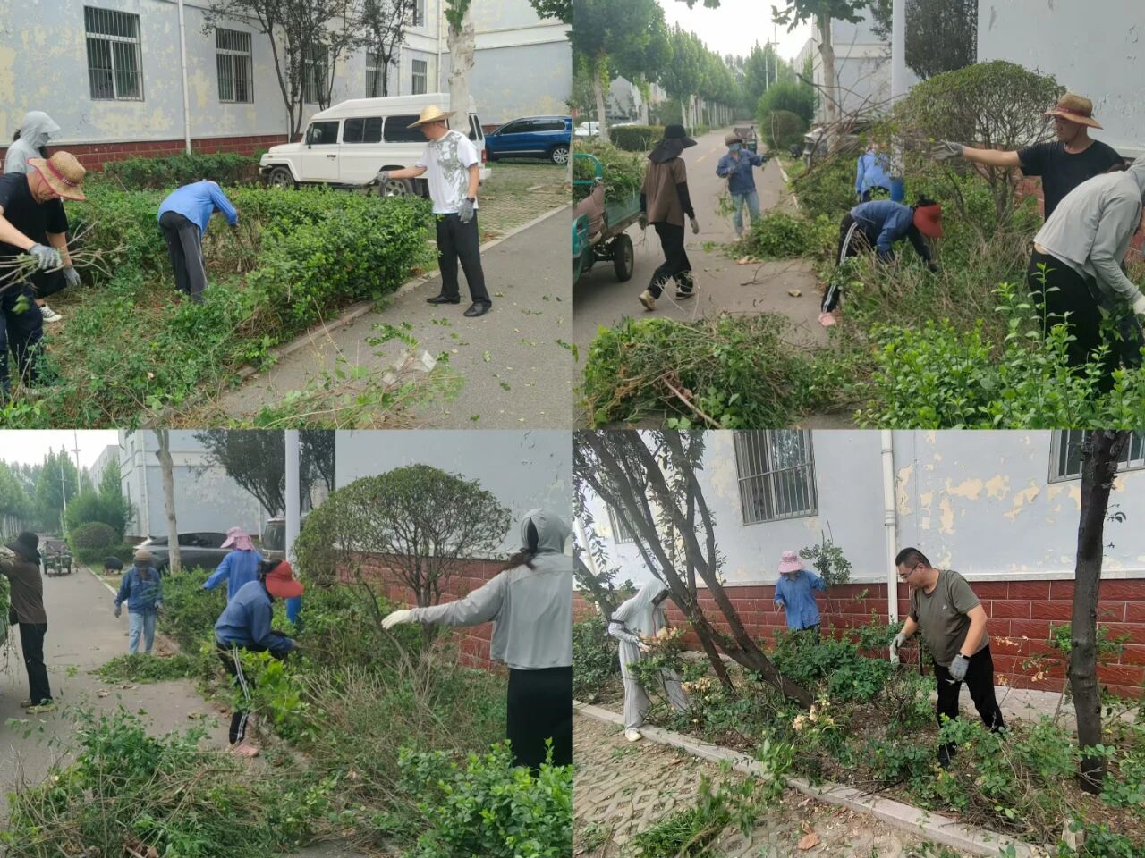 【魯南電商】共建美麗園區(qū)，我們在行動！